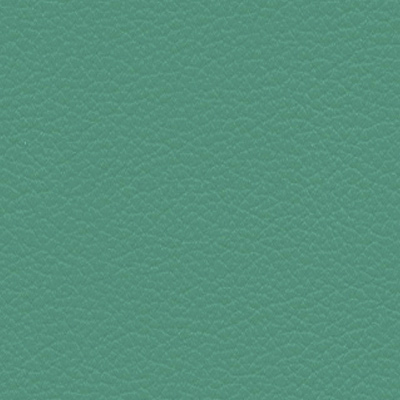 Palomaaqua green